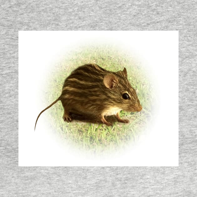 Striped grass mouse by Guardi